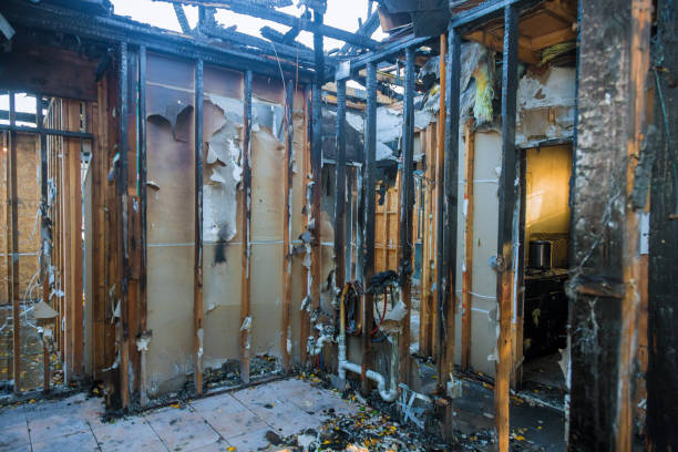 Professional Fire Damage Removal technician working in Ramona, CA